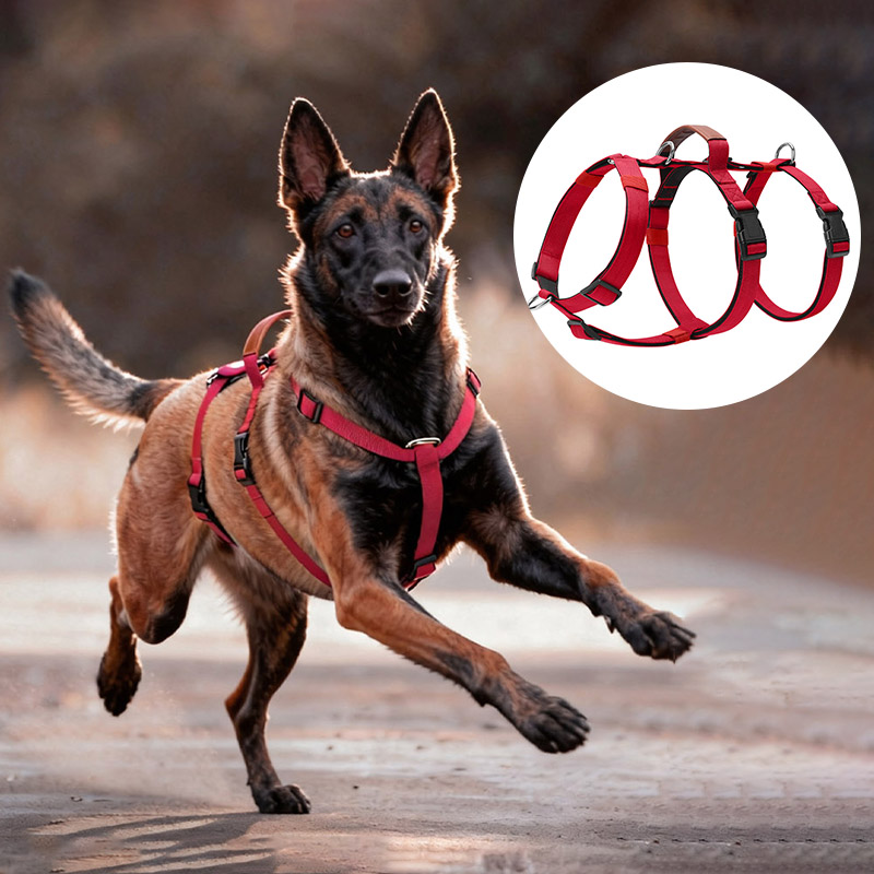 No Pull Dog Harness - Fluchtsicheres Nylon-Hundegeschirr mit Griff, verstellbares, nicht