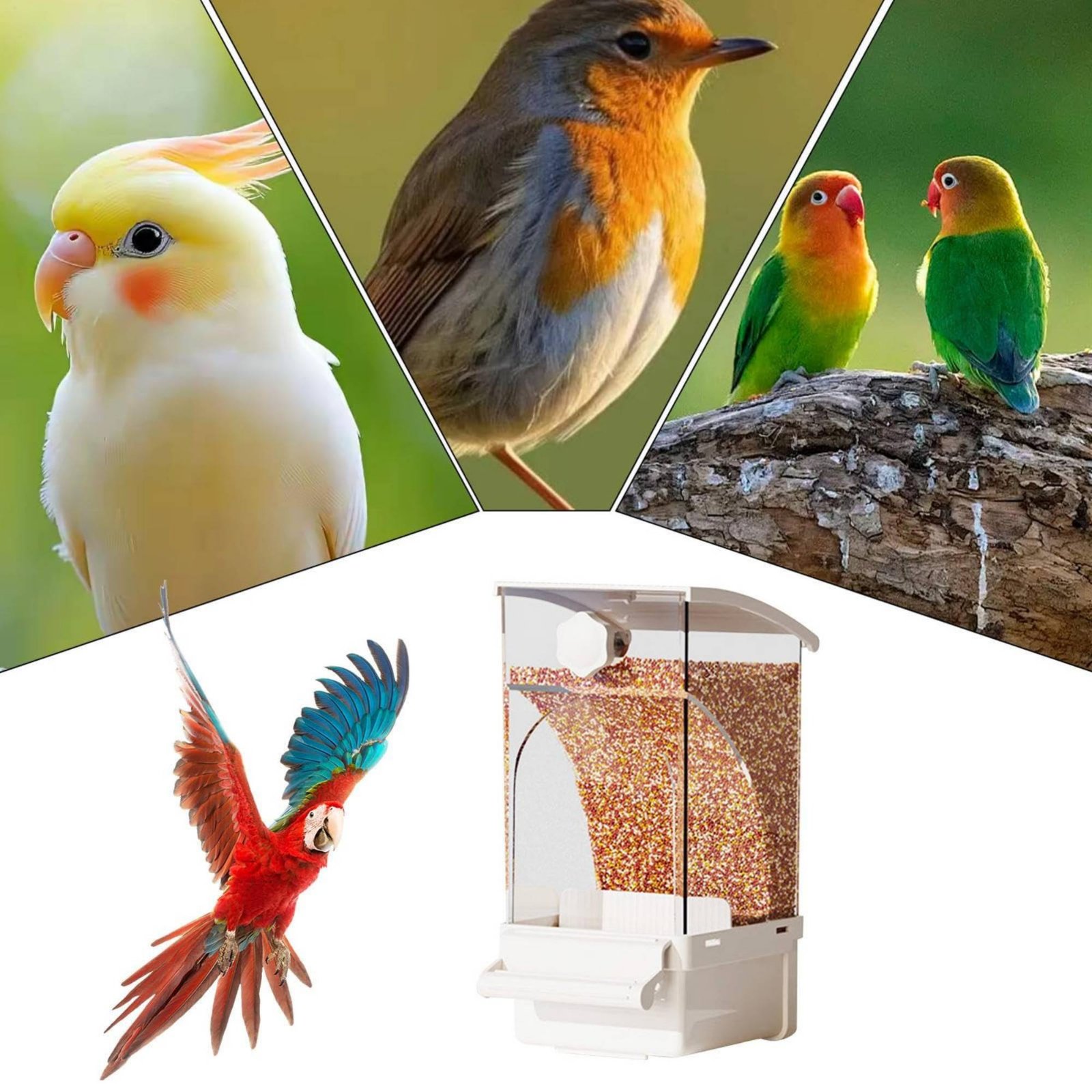 Pet Supplies In - Automatischer Vogelfutterspender, Hülsen-trennender, sauberer Vogelfutterspender, sauberer