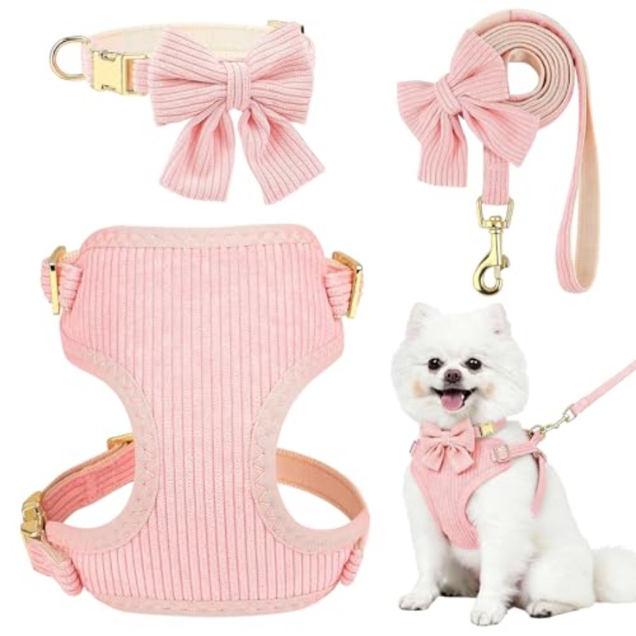 No Pull Dog Harness - Kleines Hundehalsband- und Leinen-Set für Tägliche