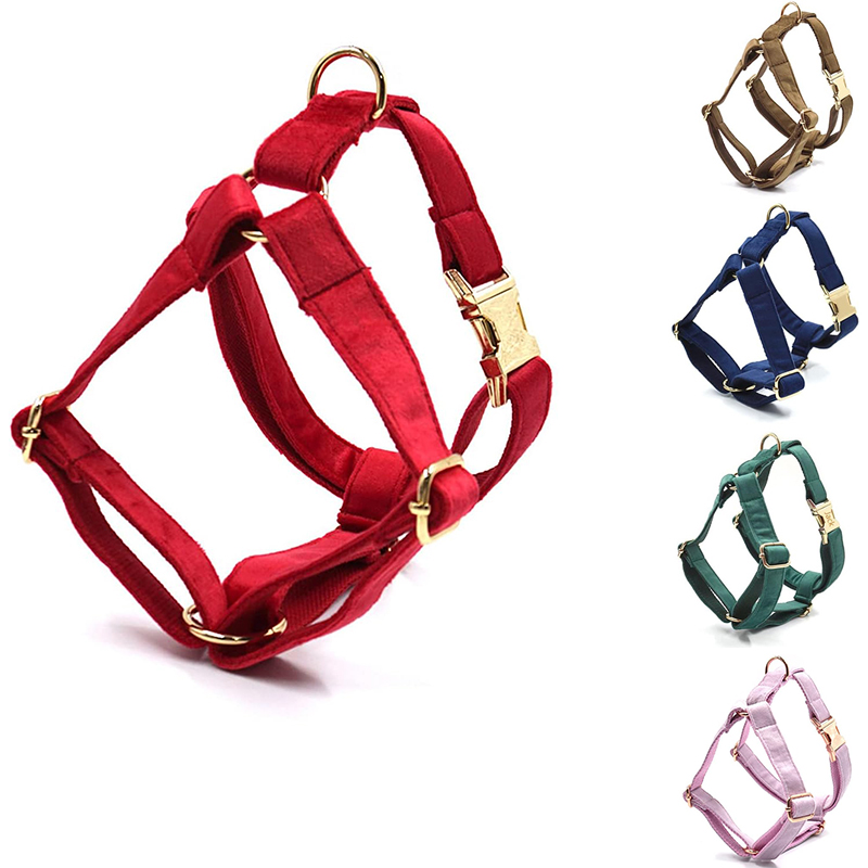 Personalisiertes Hundegeschirr – No Pull Dog Harness Bewertung und Preis