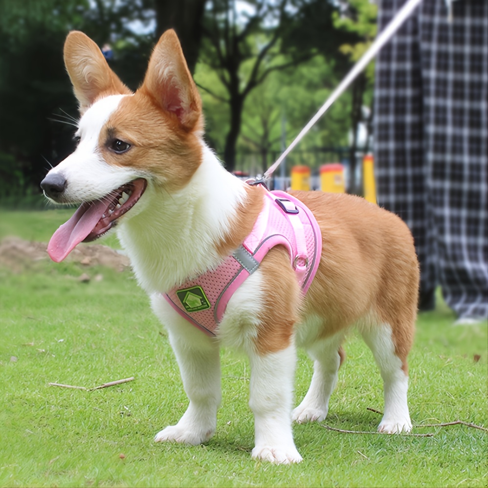 Reflektierendes Haustiergeschi – No Pull Dog Harness Bewertung und Preis