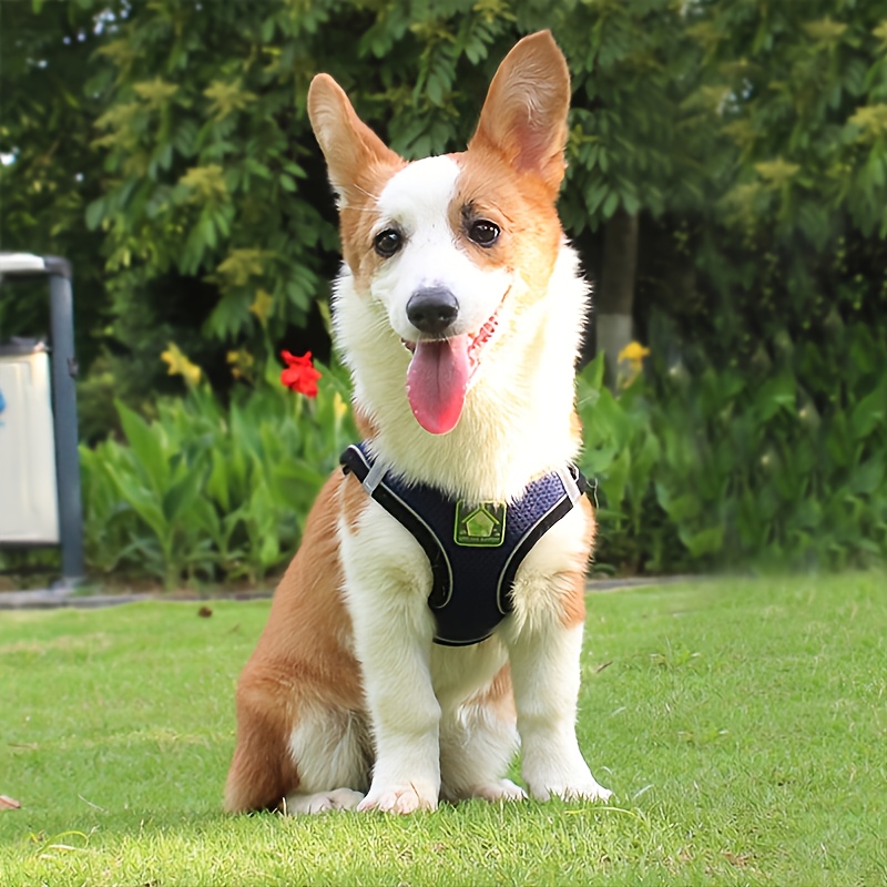 Reflektierendes Haustiergeschi – No Pull Dog Harness Bewertung und Preis