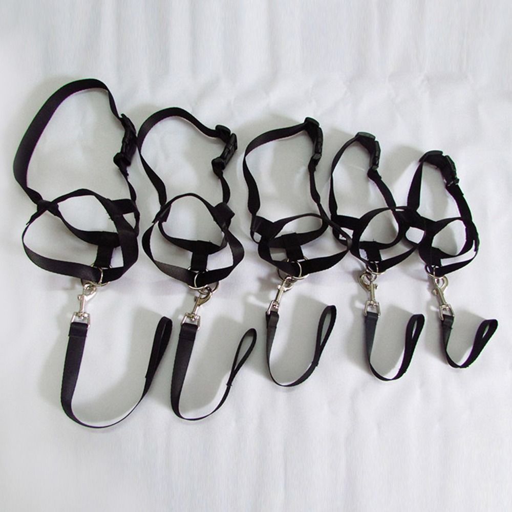 Nylon-Trainingsleine, Anti-Zug – No Pull Dog Harness Bewertung und Preis