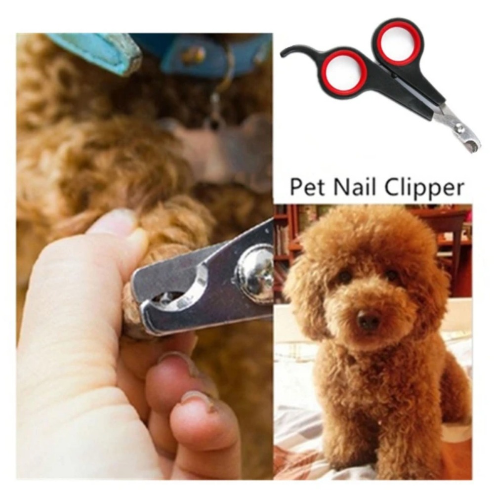 12 cm Nagelknipser für Haustie – Pet Supplies Nail Trim Bewertung und Preis