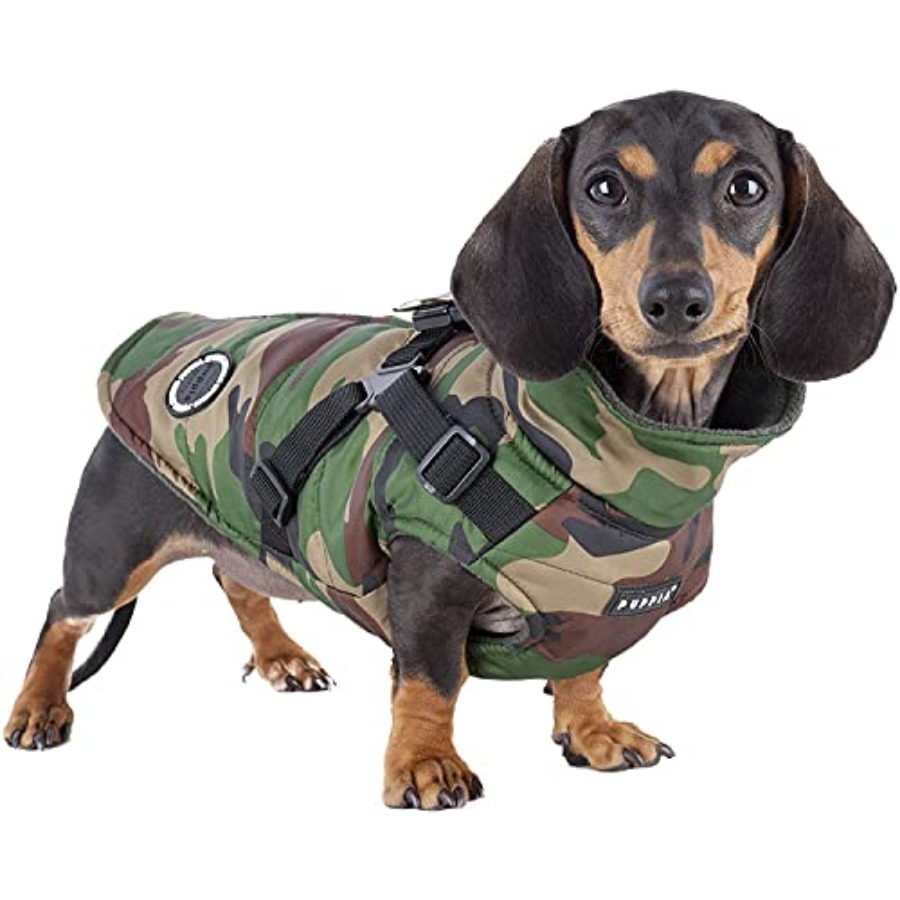Mountaineer Winter-Hundemantel – No Pull Dog Harness Bewertung und Preis