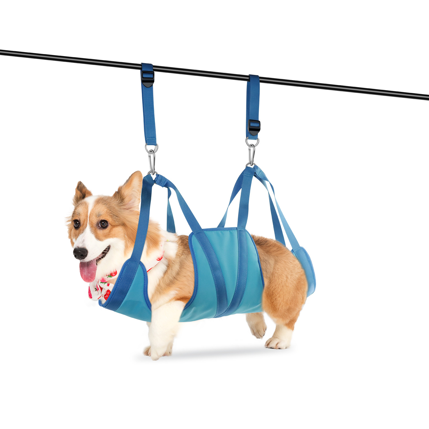 Haustierpflege-Hängematte, pra – Pet Supplies Nail Trim Bewertung und Preis