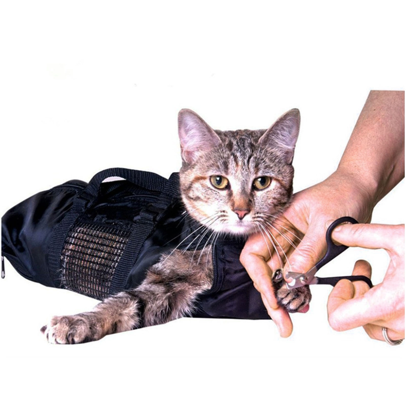 Netz-Katzenpflege-Badetasche a – Pet Supplies Nail Trim Bewertung und Preis