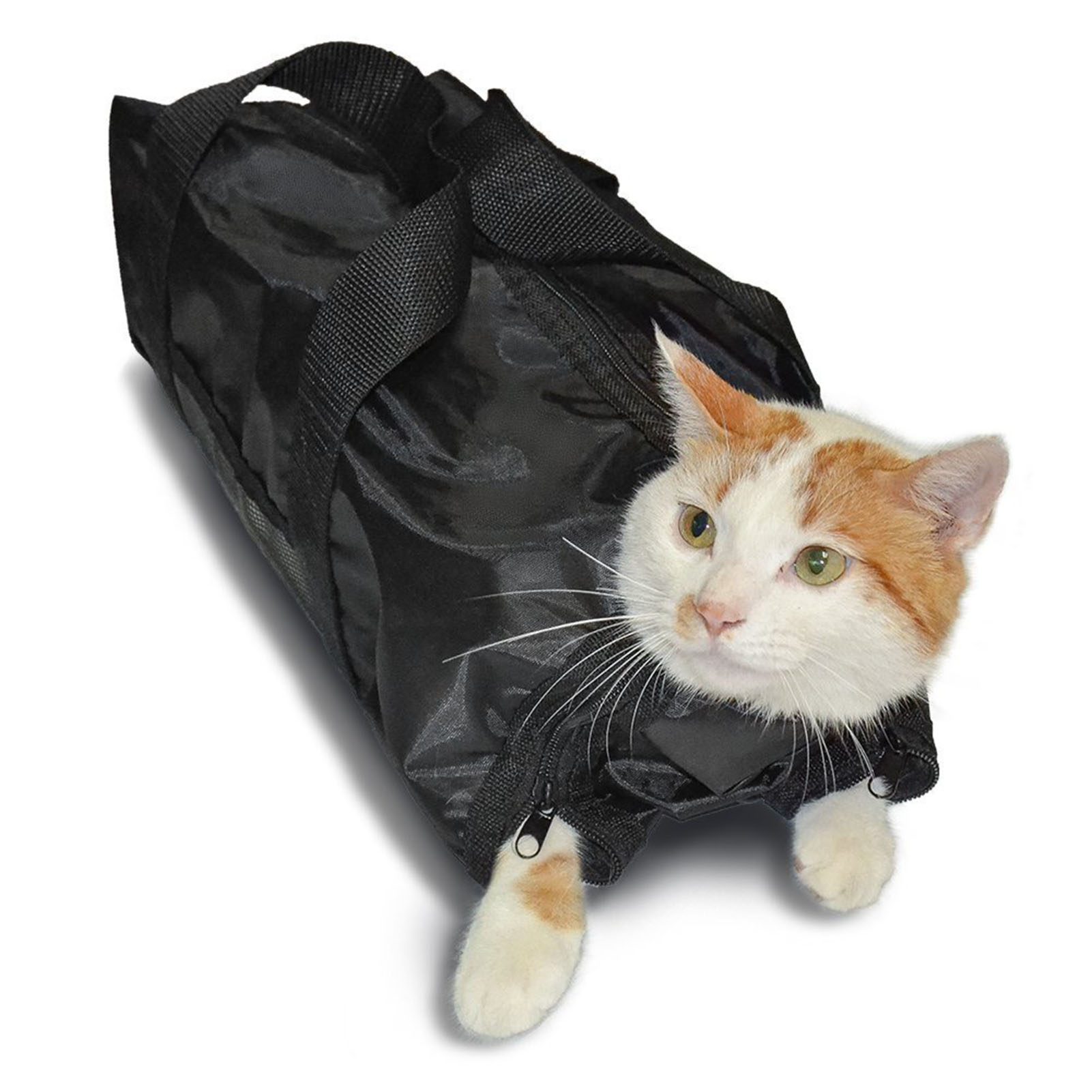 Netz-Katzenpflege-Badetasche a – Pet Supplies Nail Trim Bewertung und Preis