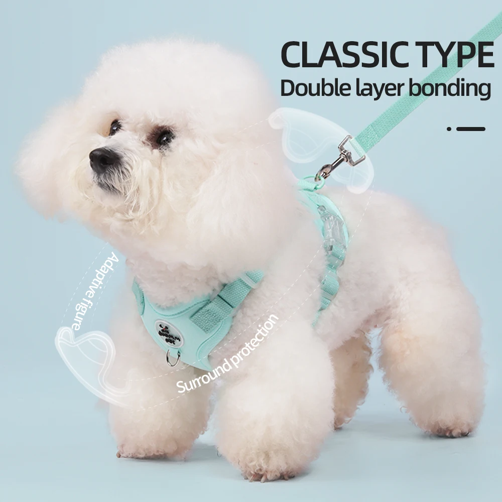 Buntes, leichtes Hundegeschirr – No Pull Dog Harness Bewertung und Preis