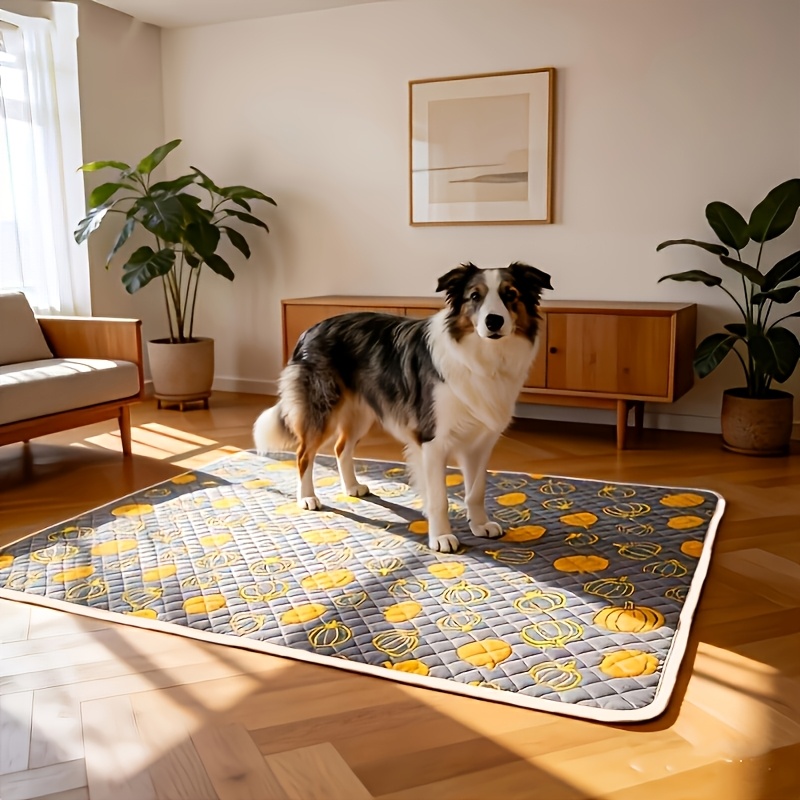 3 Stück wiederverwendbare Hund – Pet Supplies Wash Station Bewertung und Preis