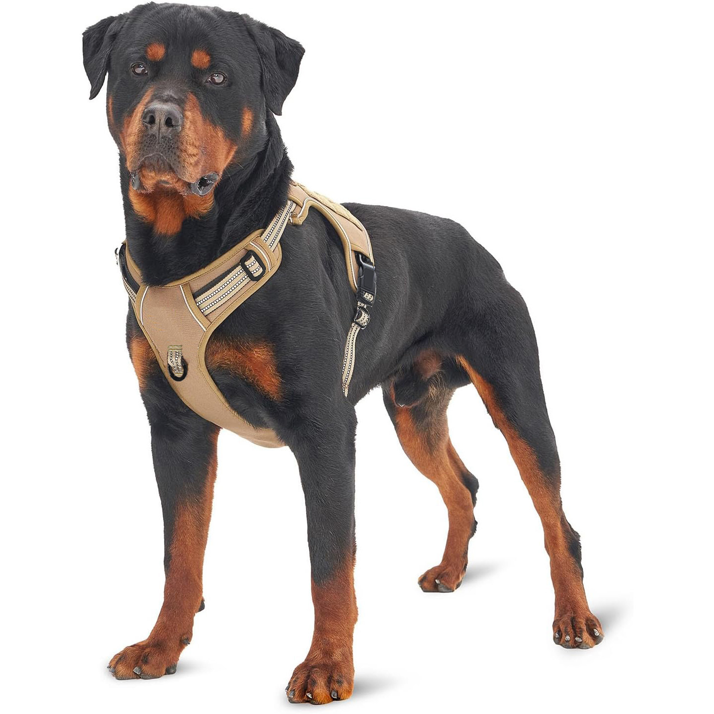 Militärisches taktisches Hunde – No Pull Dog Harness Bewertung und Preis
