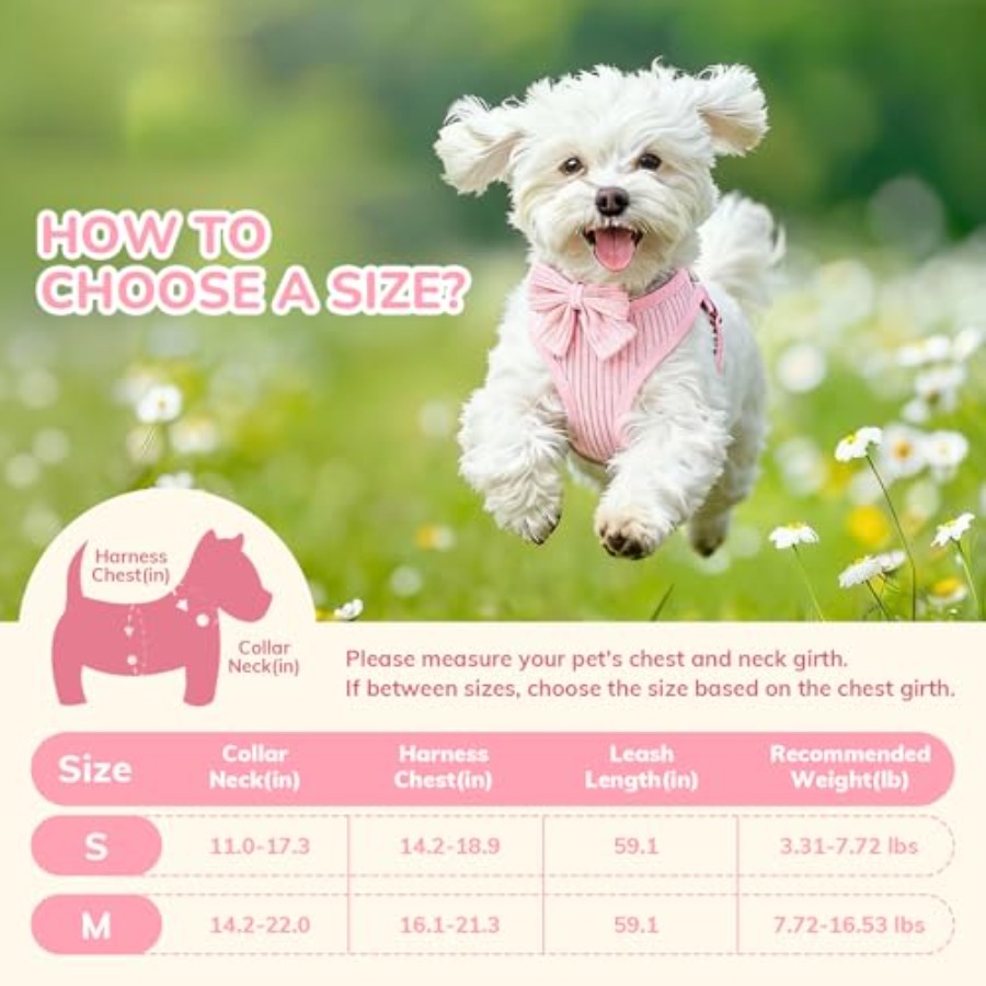 Kleines Hundehalsband- und Lei – No Pull Dog Harness Bewertung und Preis
