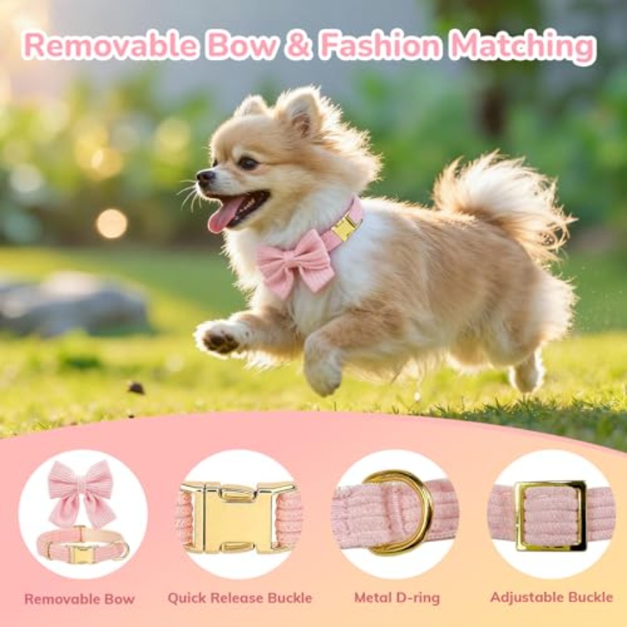 Kleines Hundehalsband- und Lei – No Pull Dog Harness Bewertung und Preis
